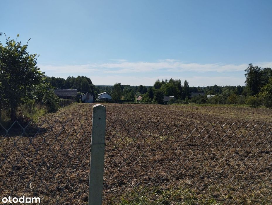 Piękna malownicza działka w Biejkowie nad rzeką Pilicą - Widok 5