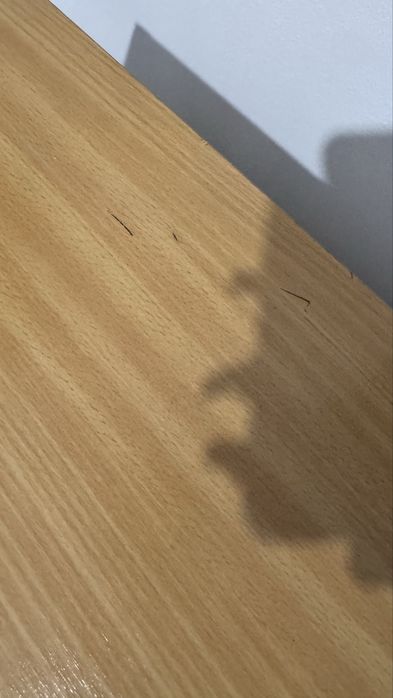 Secretária PC / Estudos Mesa