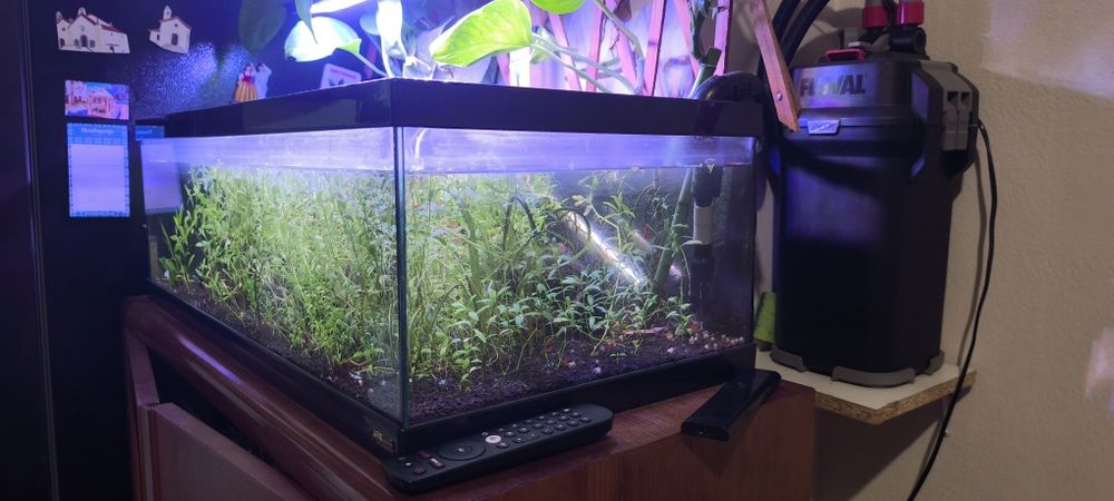 Vendo aquário completo