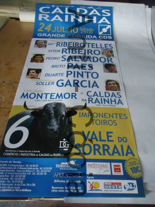 Cartazes de Montra 6