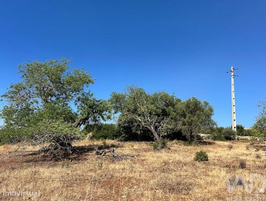 Terreno em Luz de Tavira e Santo Estêvão de 5570,00 m2