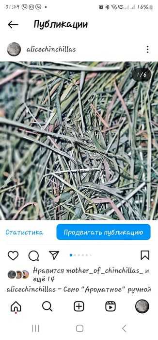 Сено для Шиншилл и других Грызунов!