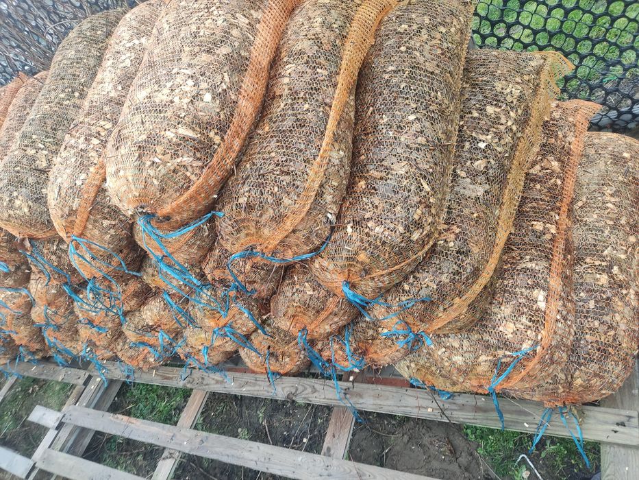 Zrębki drzewne liściaste