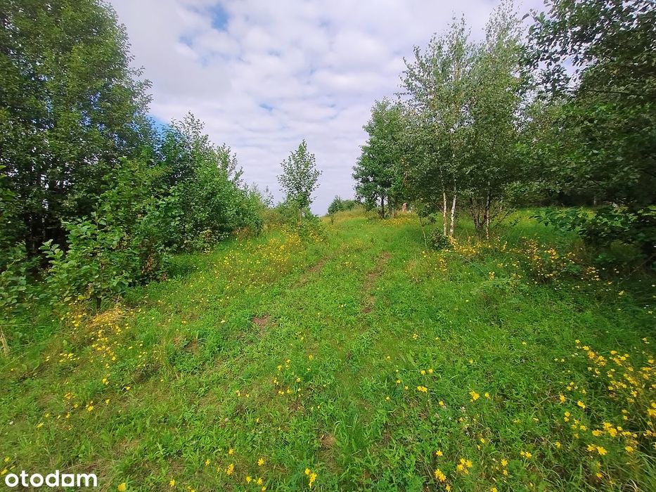 Działka z przeznaczeniem wypoczynkowym w pięknej okolicy