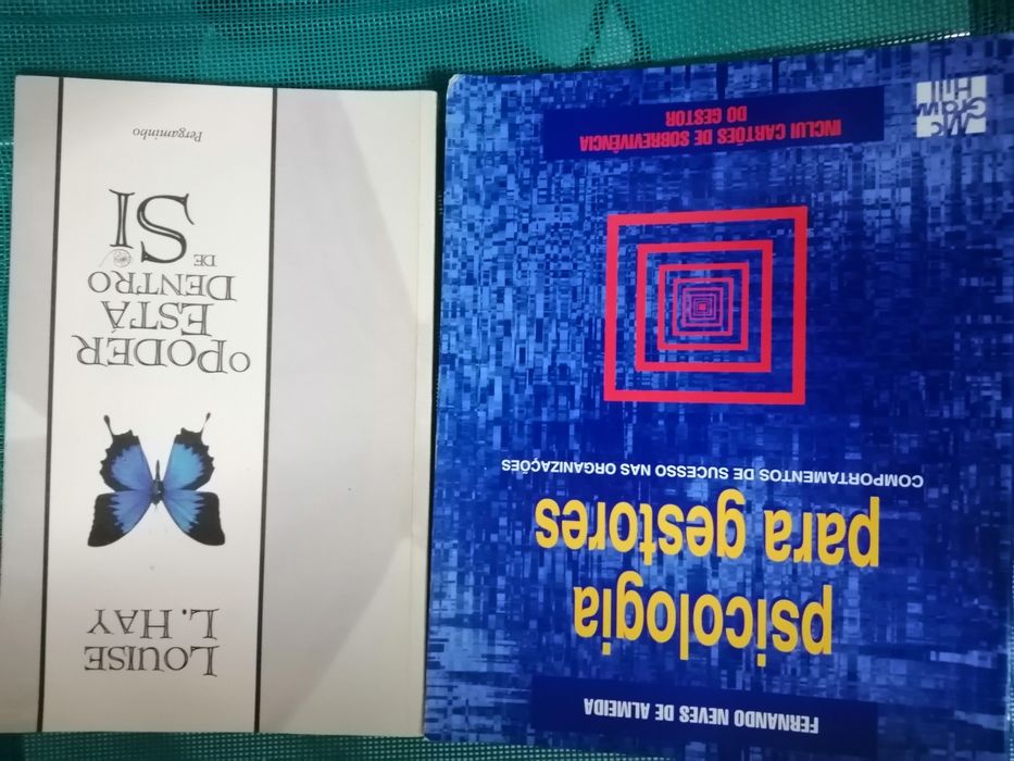 Livros Diversos Temas