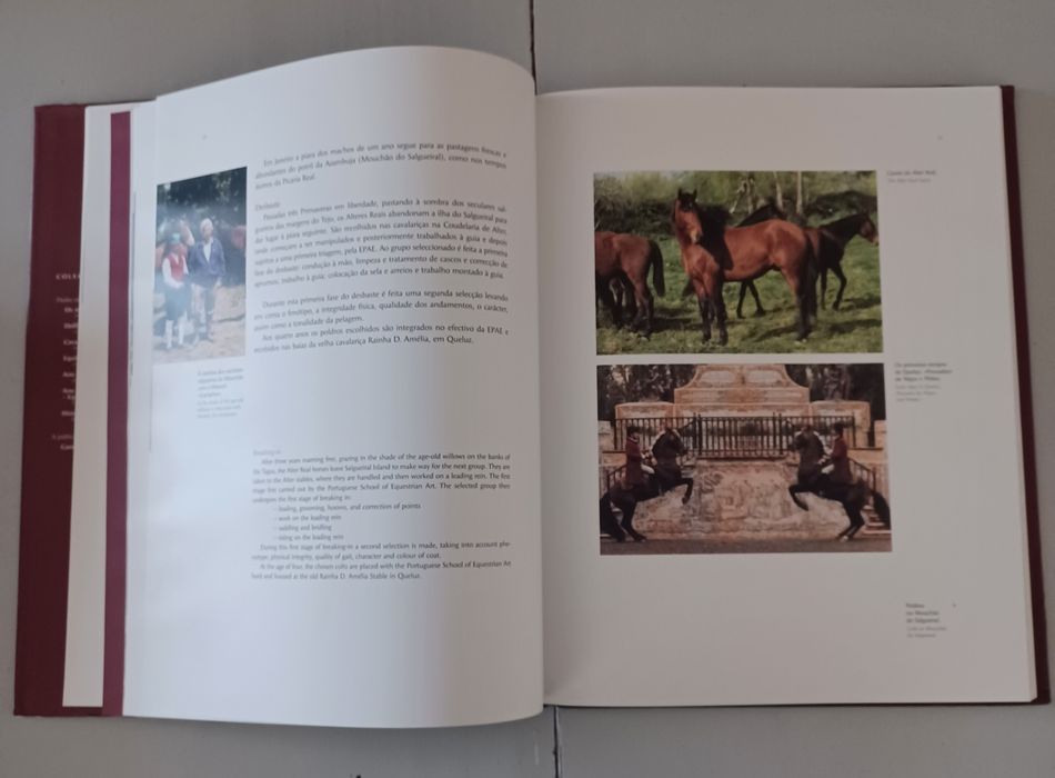 Escola Portuguesa de Arte Equestre, de Filipe Graciosa