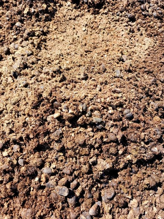 Obornik, koński nawóz