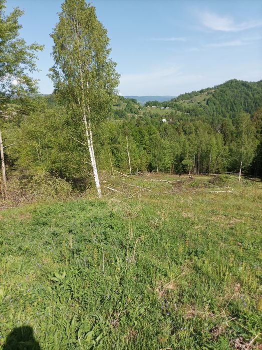Продам Земельну ділянку у Карпатах