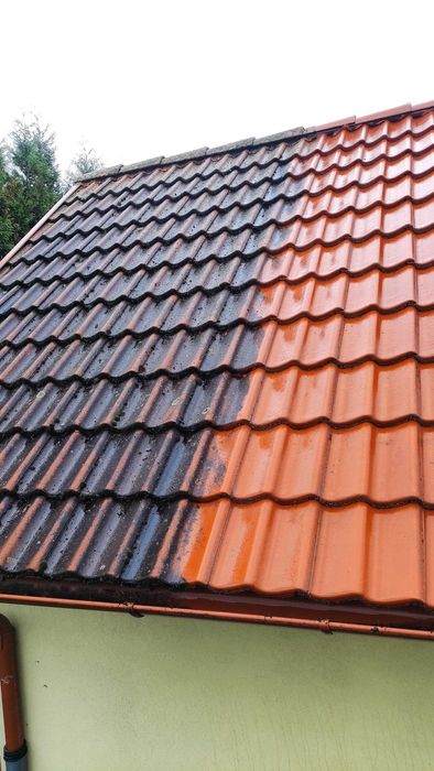 Mycie dachów,elewacji,kostki brukowej  "Clean-Res" PROMOCJA!!