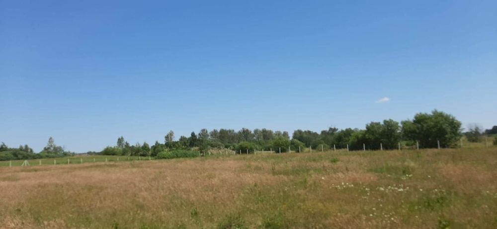 Sprzedam dom z dużą działką 7800m2