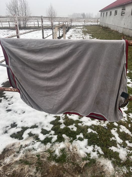 Szara derka na malego konia lub duzego kuca