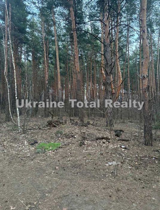 БИКІВНЯ Земельна ділянка 10 сот під забудову біля лісу! Пров. Радистів