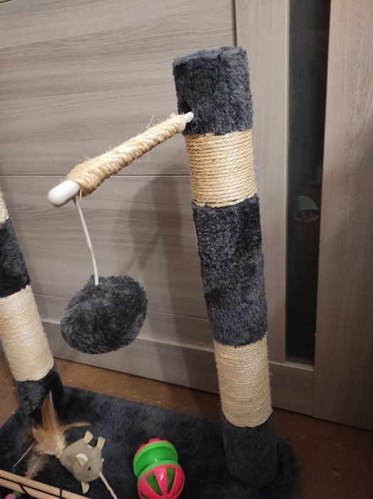 Кошачьи когтеточки