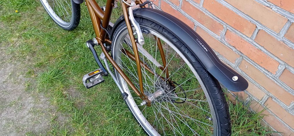 Rower młodzieżowy holenderski - jak Alpina