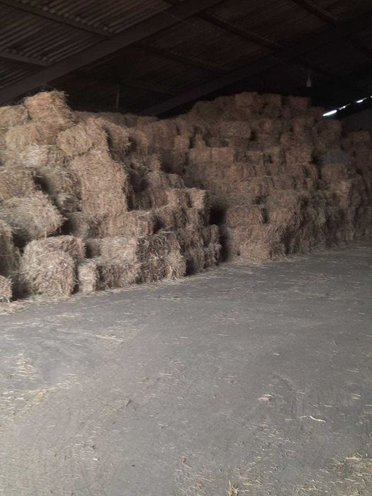 Сено пырей с разнотравьем 130грн тюк