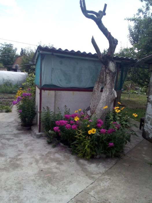 Дача Комунальник 10 соток