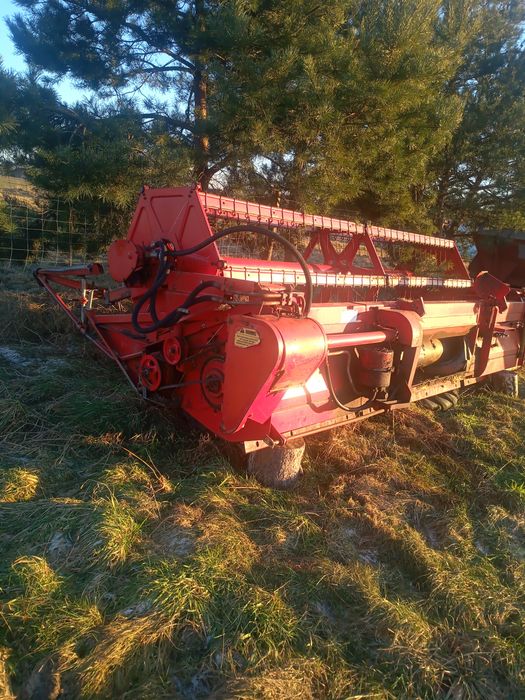 Kombajn Massey Ferguson 665 przystawka do kukurydzy
