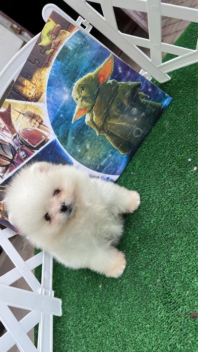 Яскравий хлопчик