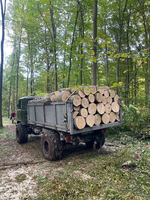 Продам дрова паливні твердої породи