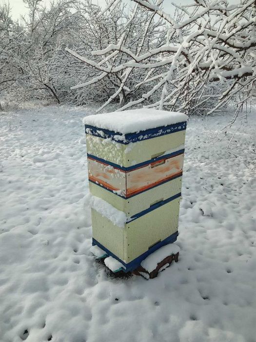 вулики порожні вулики з бджолами бджлосімї