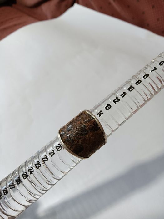 Anel em prata com pele de cobra - tamanho 17