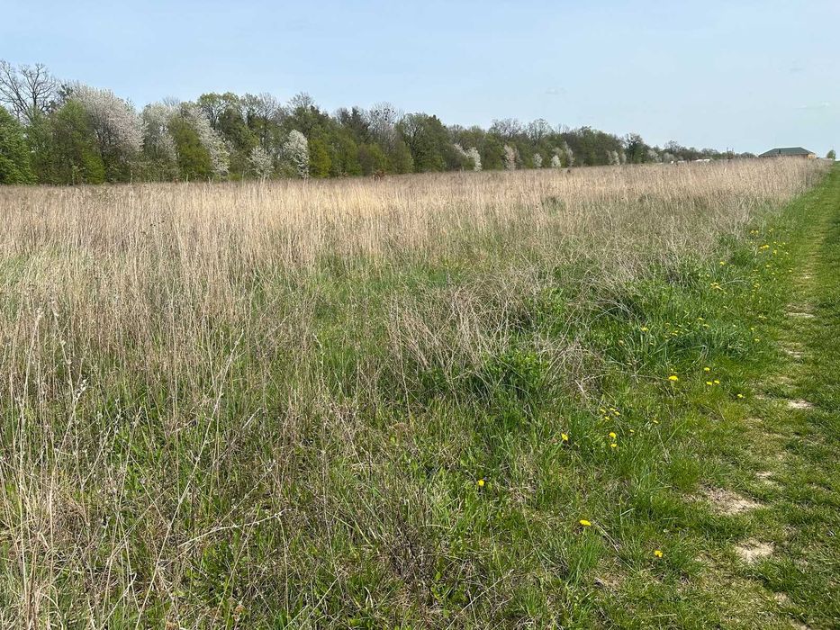 Продам фасадну ділянку в Ксаверівці