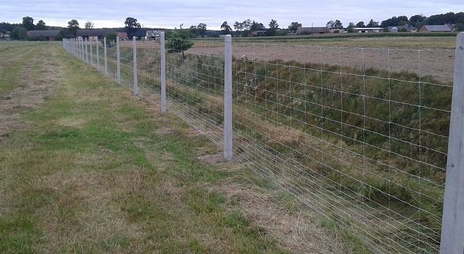 Ogrodzenie siatka leśna betonowe słupki