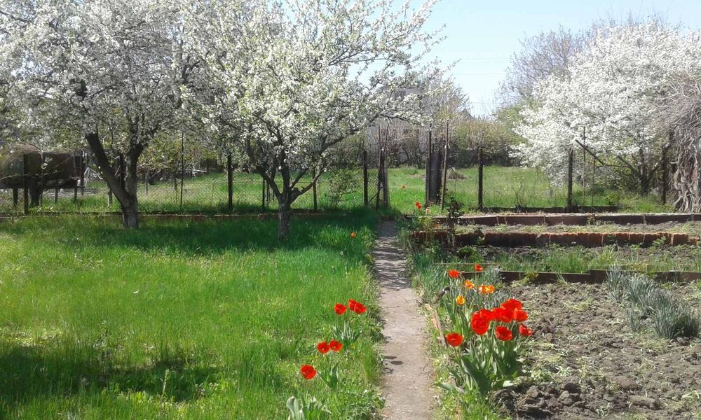 Дача роен Наталівки можливий обмін на авто