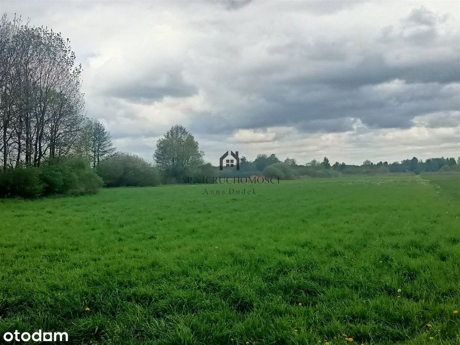 Gospodarstwo rolne, 5,7ha Jabłków gm. Kramsk - Widok 2