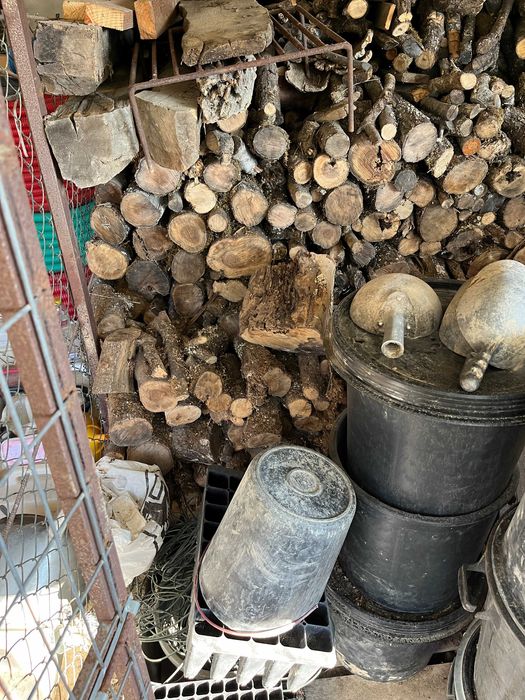 Vendo Lanha de Oliveira, Castanheiro, Plátano: