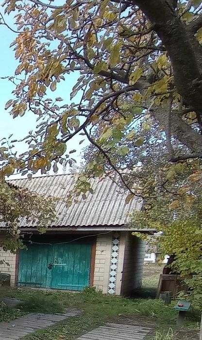 Продам участок з господарчою будівлею в м. Борзна