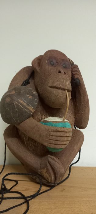 Garrafa feita de casca de coco