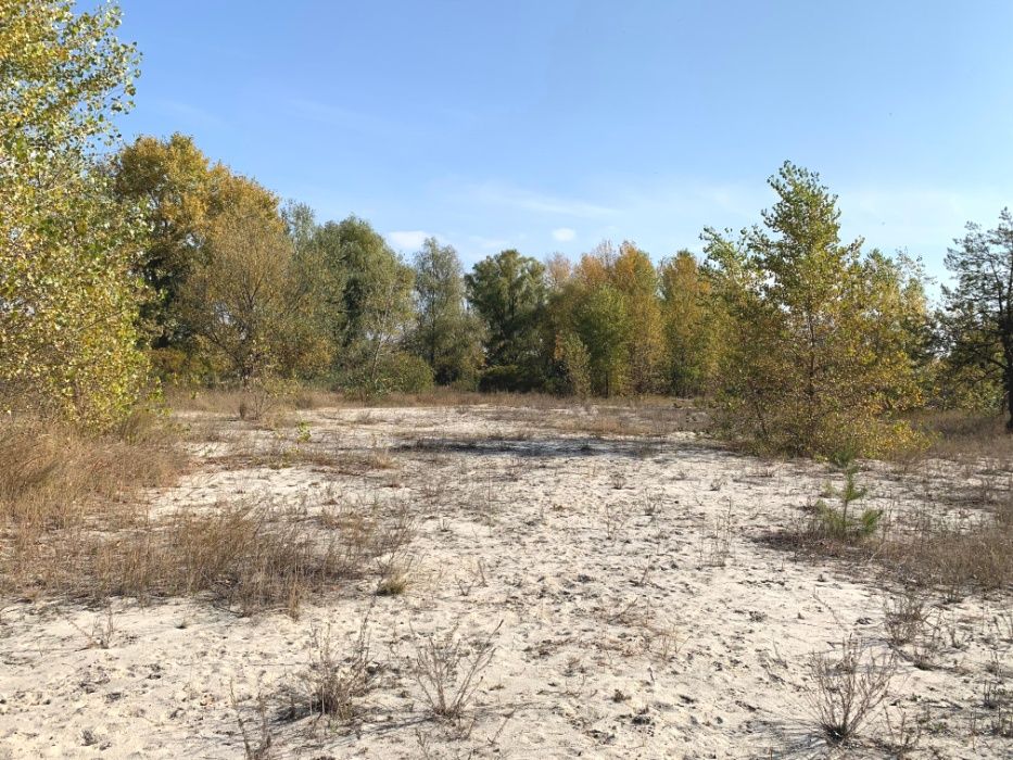 Кийлов участок от 60 соток с выходом на речку Павловка