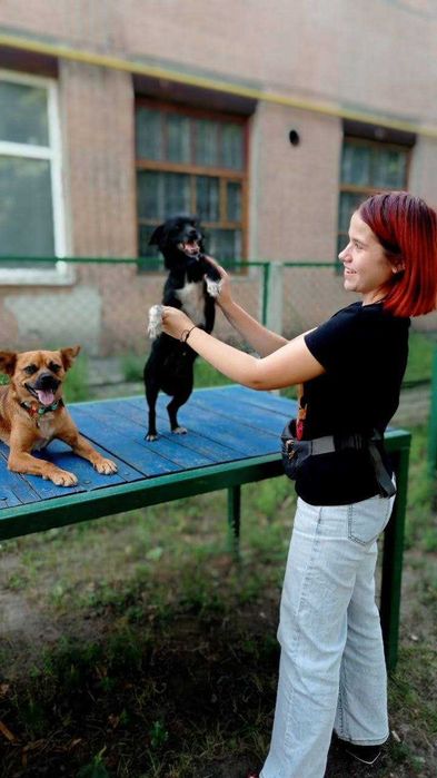 Кінолог, зоопсихолог, перетримка, дресирування собак, вигул
