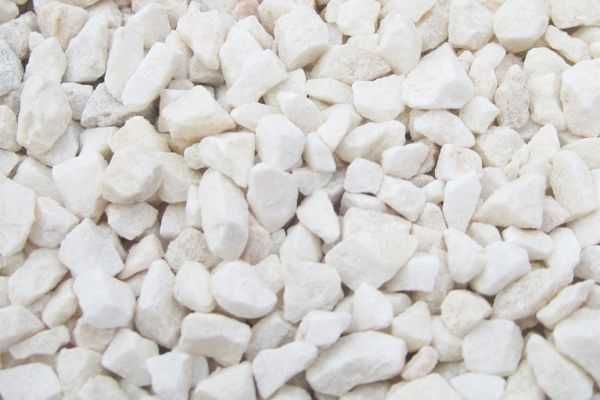 Grys granitowy dalmatyńczyk ozdobny kamień ogrodowy