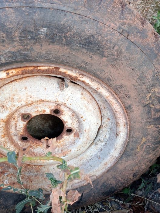 Jante de carro com pneu novo