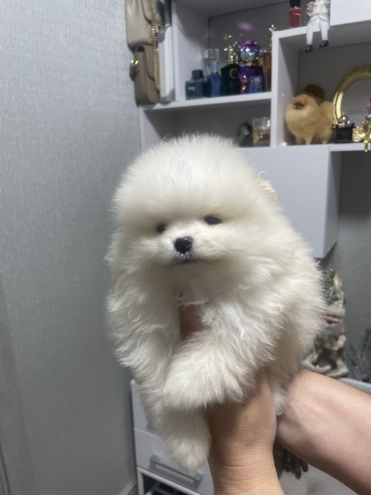 Гарненький хлопчік