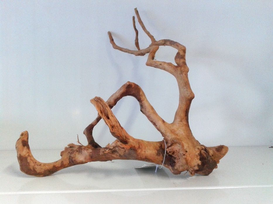 Peixes . Drift wood . Aquário