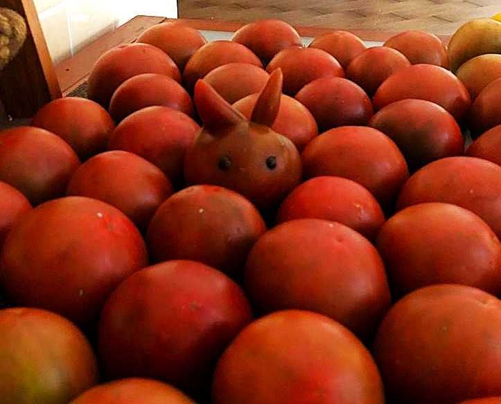 Насіння надврожайного томату Мавр, 150 шт.