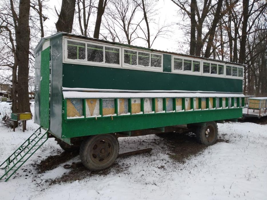 Бджолопавільйон!