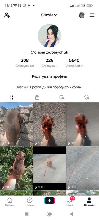 Неймовірна красуня кролячих такс