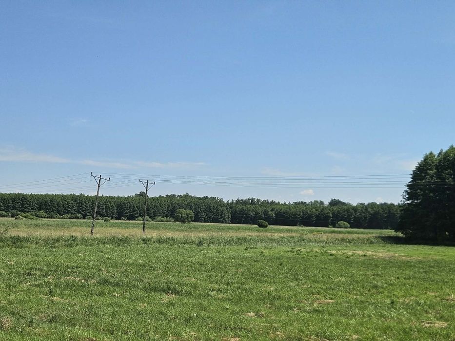 Łąka na sprzedaż Dolice - Widok 3
