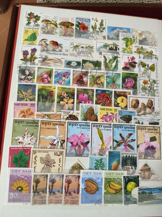 Classificador com 250 selos diferentes temática flora