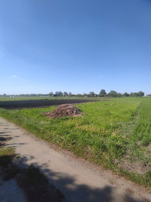 Продам земельну ділянку с.Павлівка