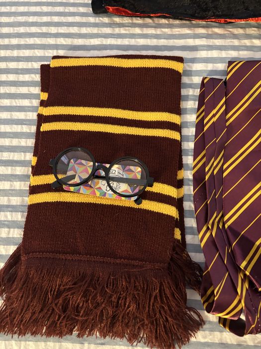 Carnaval Harry Potter