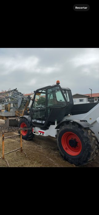 Matinou Bobcat T40.170