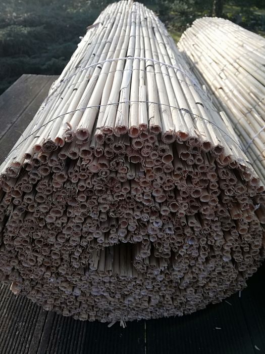 Dwie maty trzcinowe tureckie, balkonowe 100cm X 600cm, nowe dwie sztuk