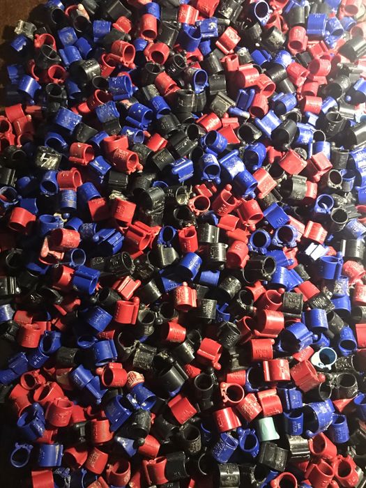 Tipesy - wymiana - obraczki dla gołębi elektorniczne - wymiana