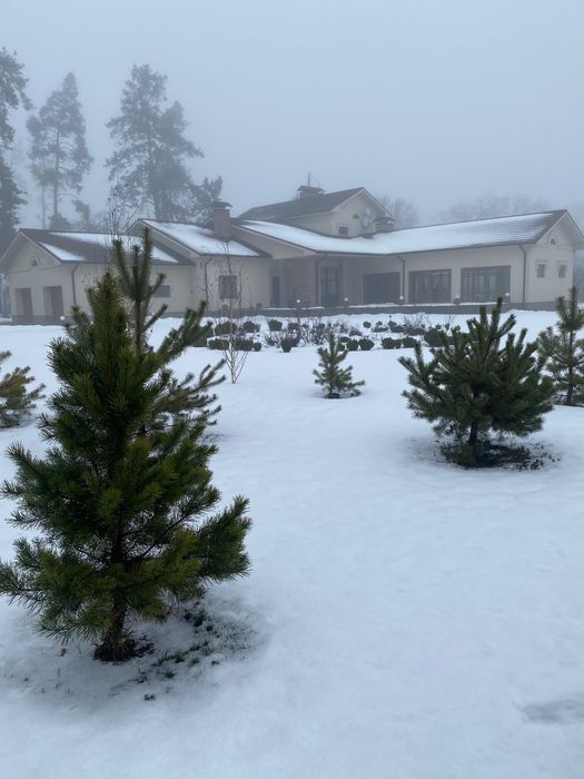 Продається будинок в Царському селі на вʼїзді в Геронимівку 32 250 000