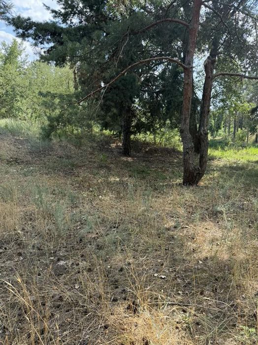 Продаж приватизованої земельної ділянки в с. Слобода.